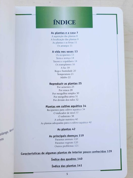 Saber mais sobre os cuidados a ter com as suas plantas de interior