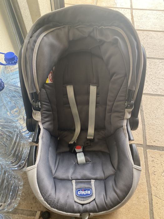 Ovo chicco em bom estado