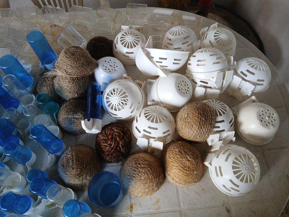 Asesorios para passaros