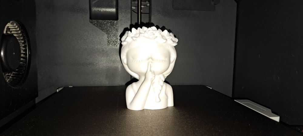 Impressão 3D – Vaso “A Menina do Silêncio” 8.6cm
Delicadeza e contrast