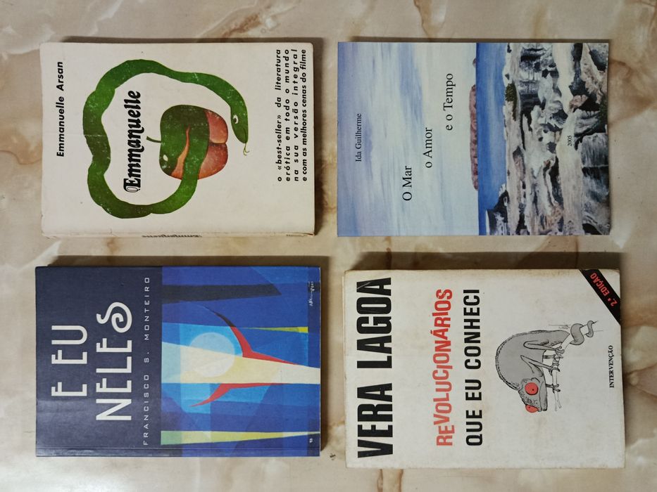 Lote de LIVROS bons e baratos ( 10 )