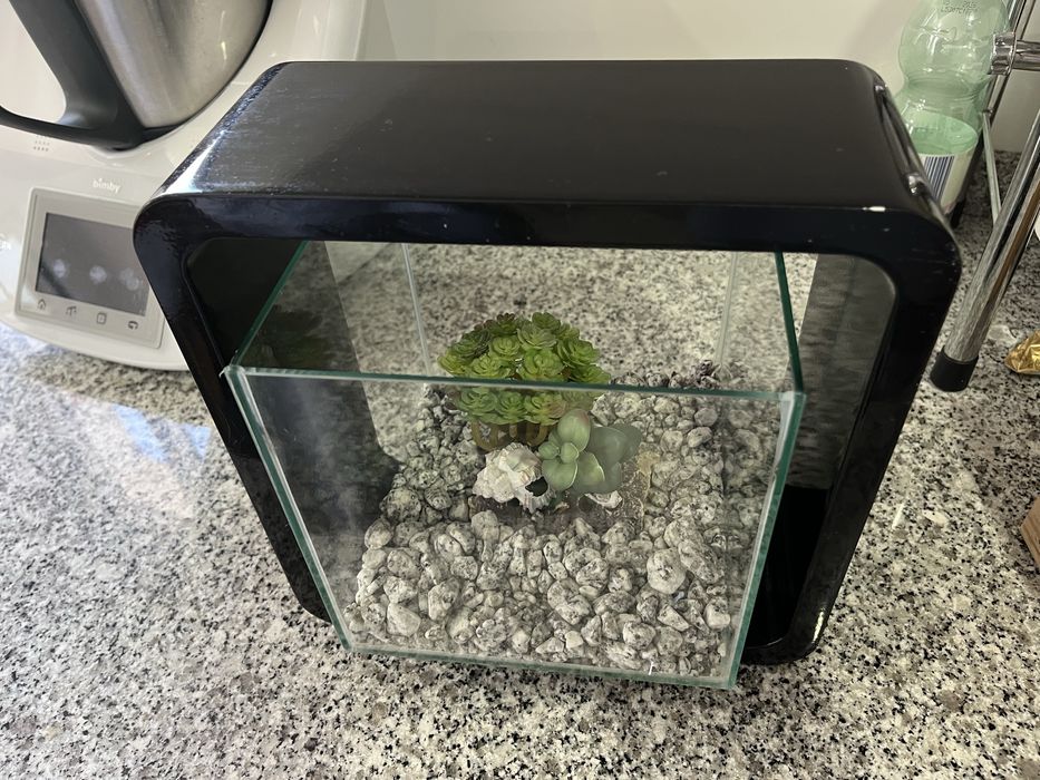 aquario de 5 litros