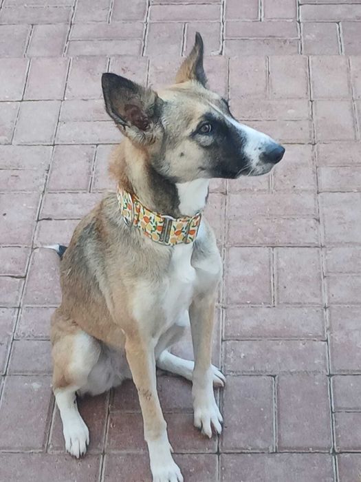 Uratowana Sara, drobna i delikatna
