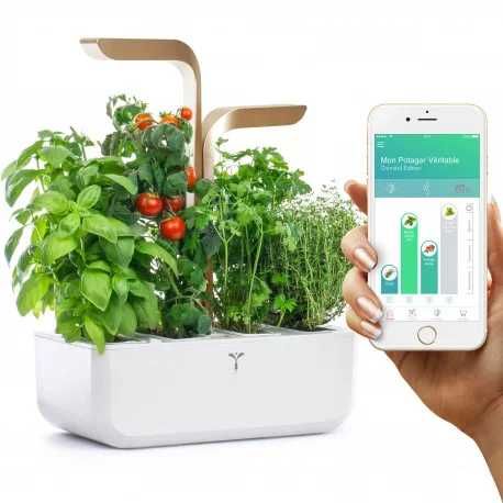 Horta Urbana Véritable® CLASSIC