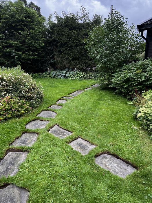 Ogrodnik, przycinanie tui, wycinka drzew, zakładanie oczek wodnych