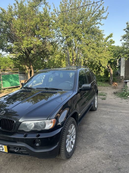 BMW X5 Е53 M57 дорест нерозмитнений
