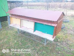 Продаються вулики