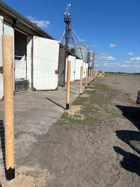 Ogrodzenie budowlane tymczasowe - Siatka leśna , płot budowlany