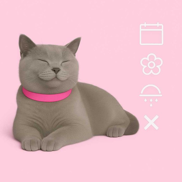 Obroża Dla Kota Uspokajająca Feromonowa Antystresowa 38 Cm Relaksująca