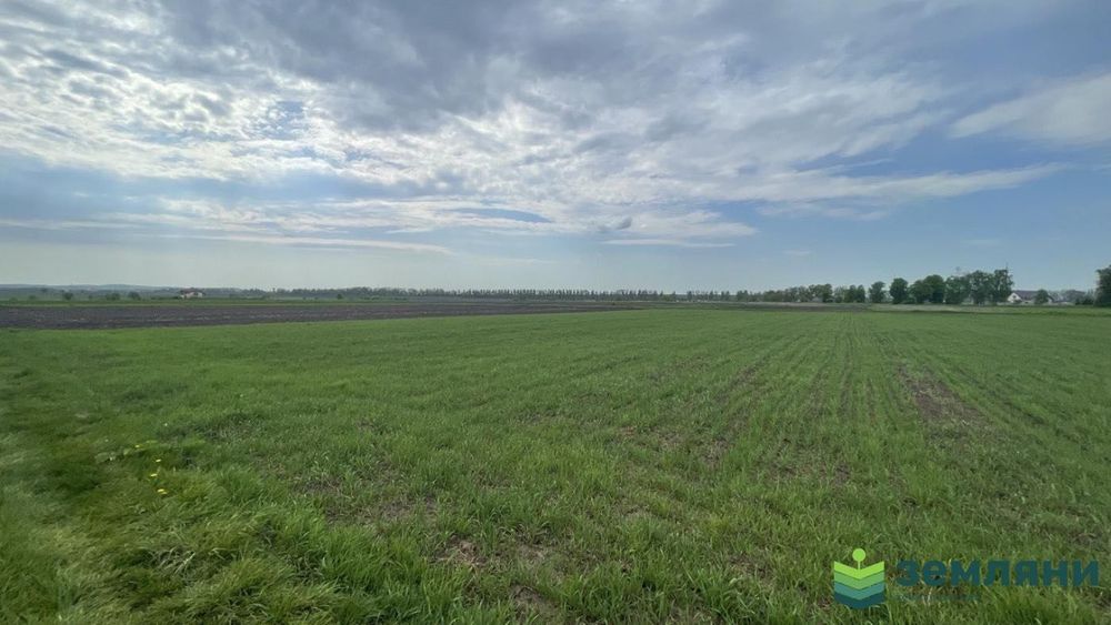 Продається ділянка 21 сот під будівництво в с. Підпечери (5)