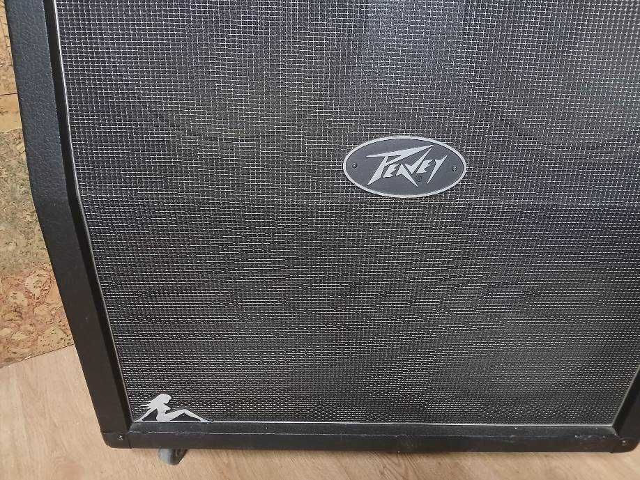 Amplificador  e Coluna Peavey XXX