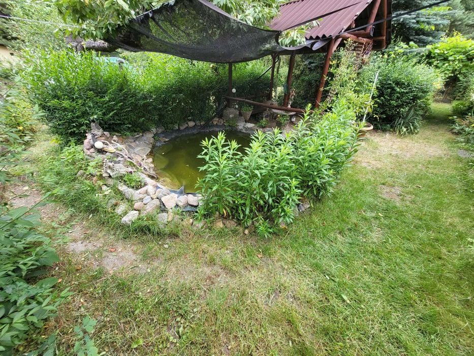 Malownicza działka ROD Jarzębina Godów Radom [600 m²] z domkiem murowanym [42 m²] - Widok 4