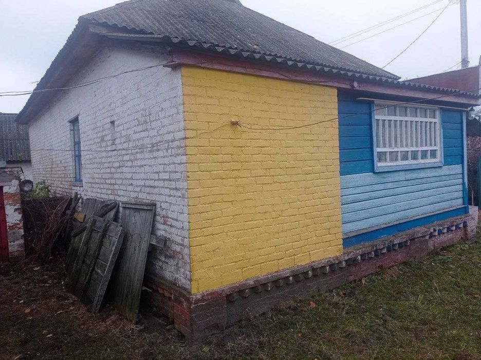 Маєток в селі ст. Лосинівська (Червоний шлях)