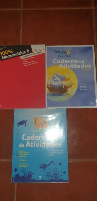 Livros de actividades