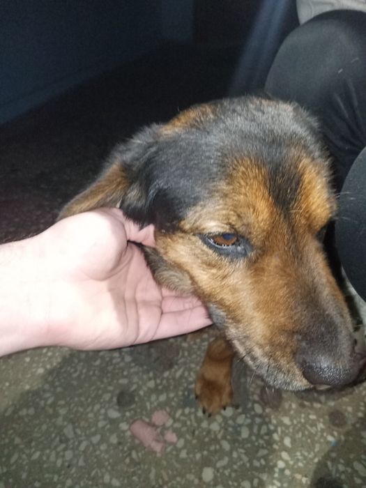 Хлопчик шукає родину.