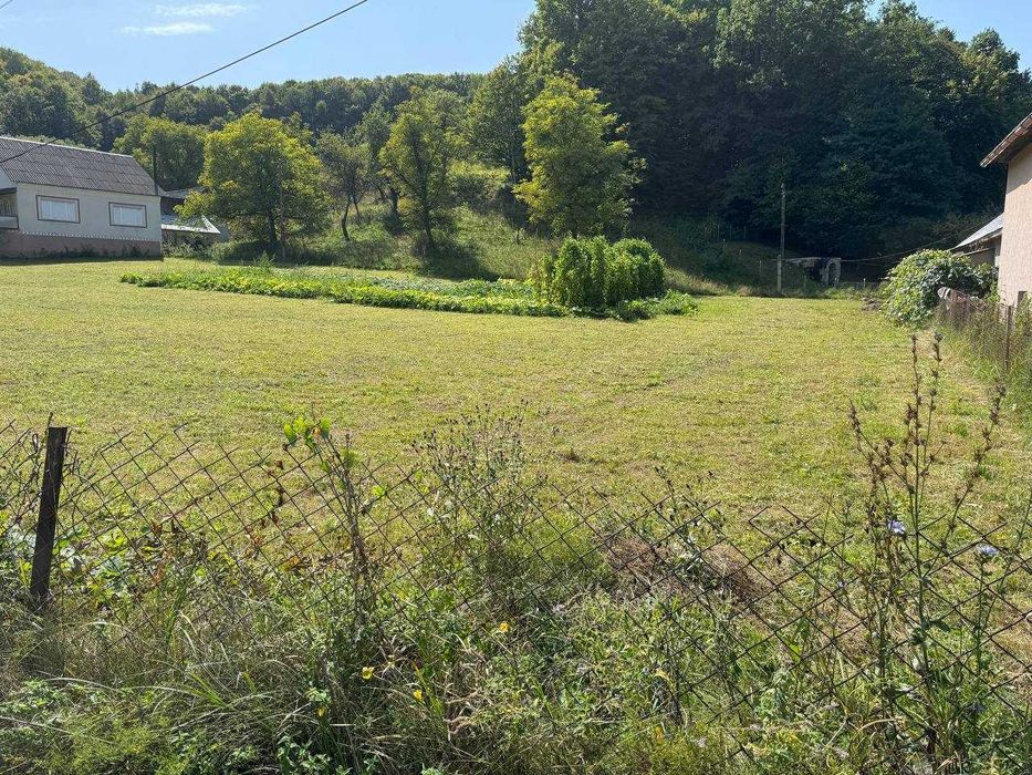 Земельна ділянка в с. Вільхівці-Лази площею 81 сотка