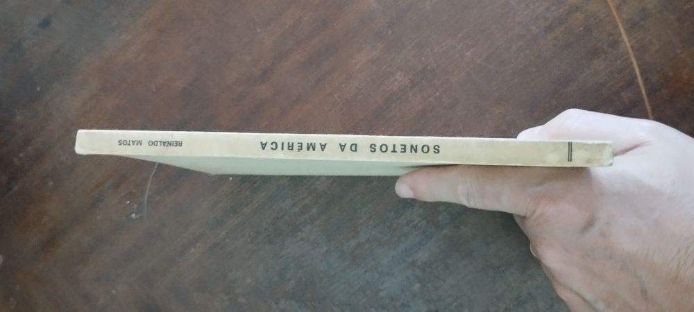 Reinaldo matos sonetos da América