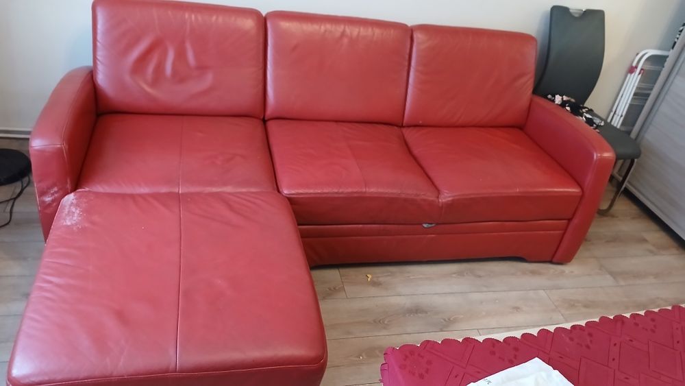 Rogówka skórzana czerwona