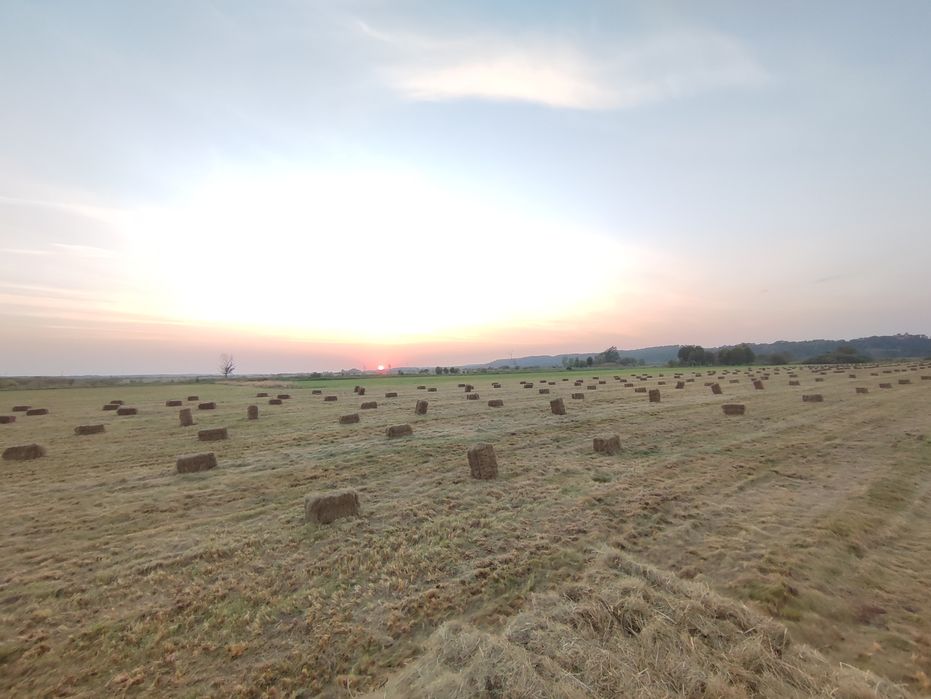 Siano kostka bezdeszczowe