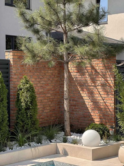 Дом по адресу ул. Макаренко (площадь 235 м²) - Atlanta.ua - фото 22