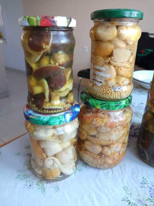 Grzyby suszone, grzyby marynowane, prawdziwek (borowik), podgrzybek