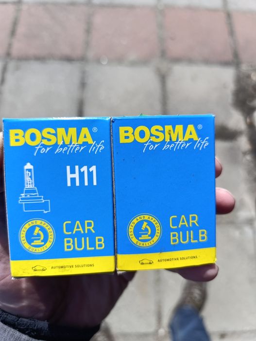 Bosma Żarówka samochodowa szt2 H11