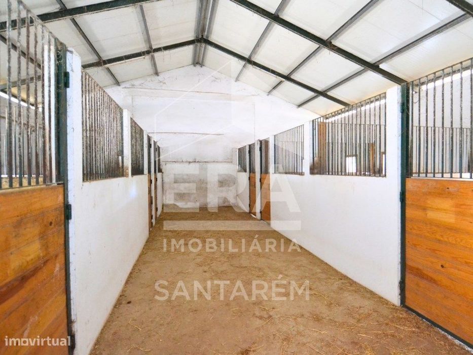 Quinta com 5,8 hectares, em Santarém