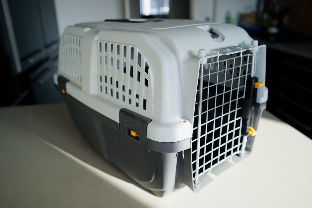 Nova caixa para animais