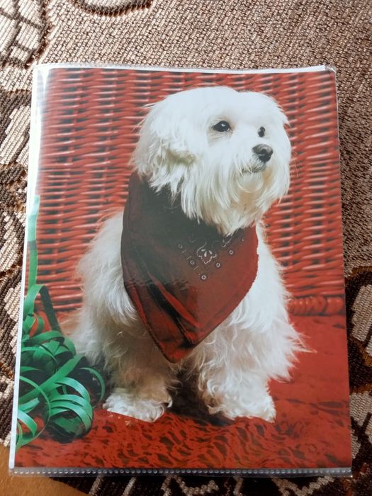 Album na zdjęcia