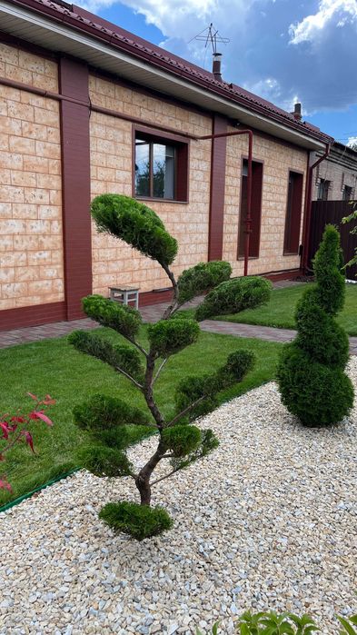 Топіарна стрижка.Нівакі.Скарифікація