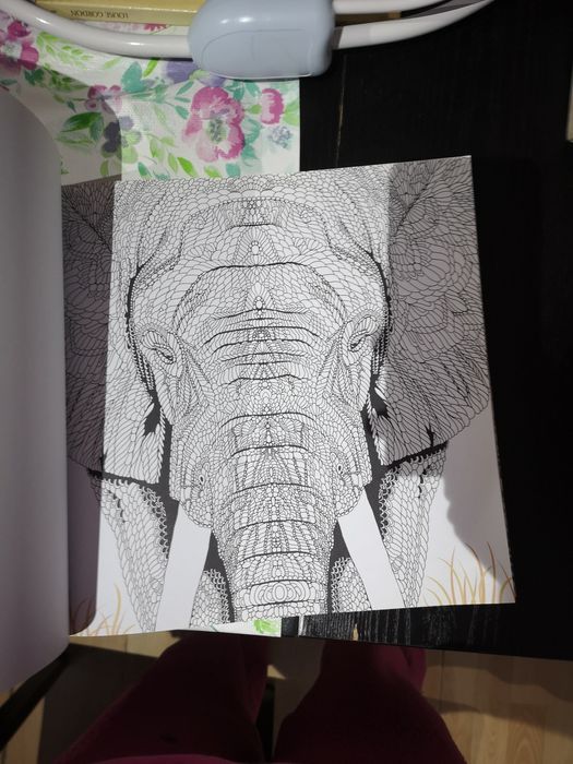 Animalário livro para colorir