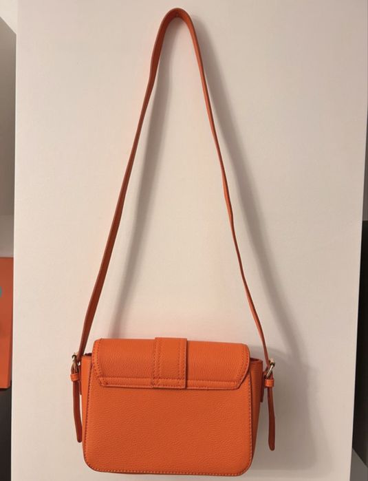 Carteria laranja stradivarius