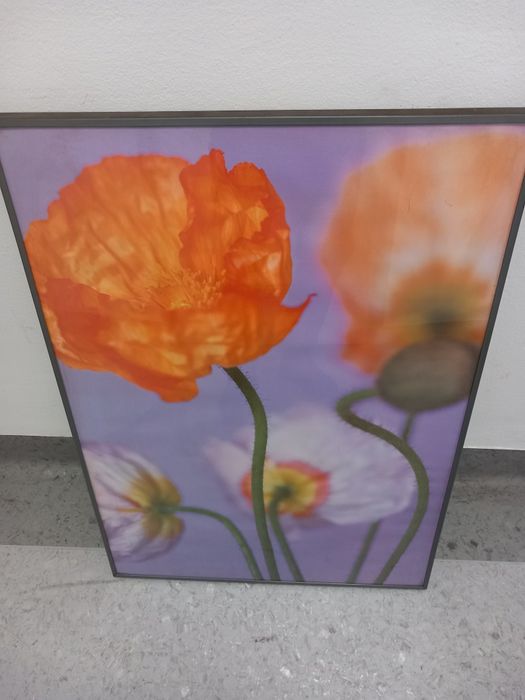Sprzedam fajny obrazek 70x50 cm