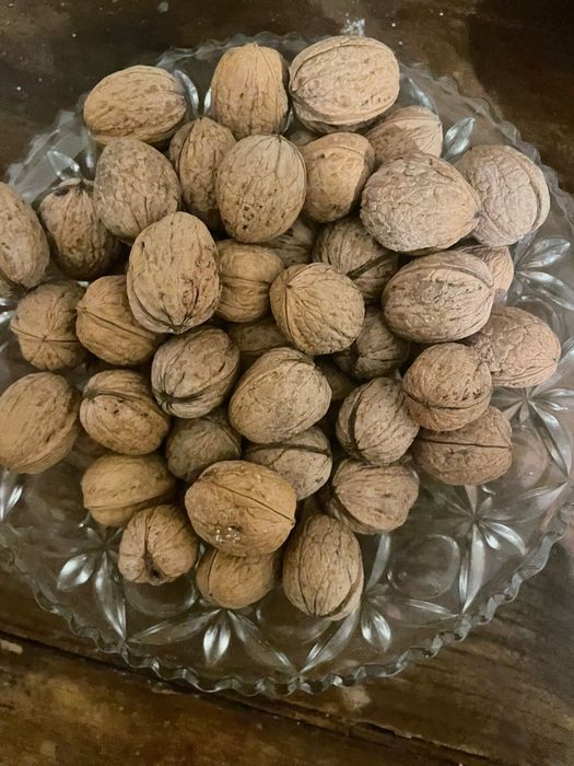 Продам горіхи великі