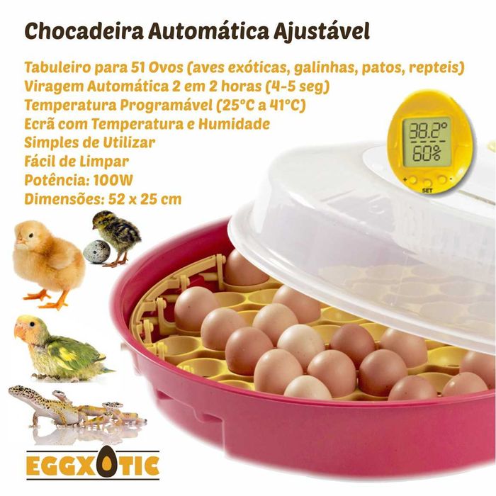 Chocadeira Automática - Galinhas, Aves Exóticas e Reptéis