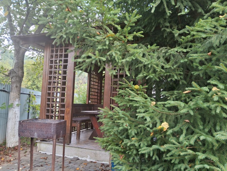 Садиба Марія. С Солочин (Квітка Полонини)