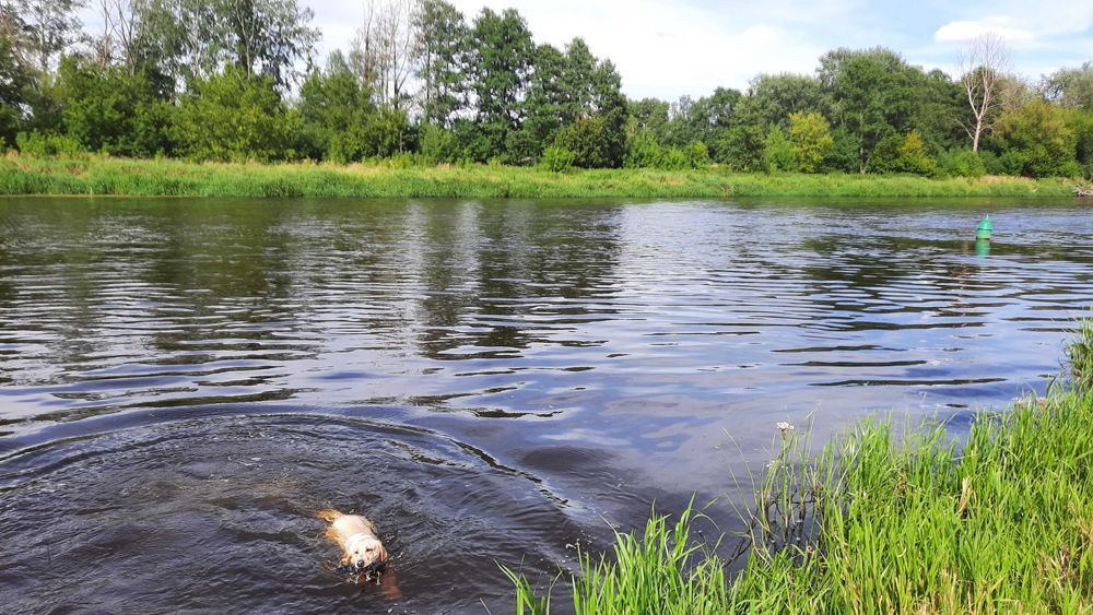 Domek do wynajęcia z sauną i z kominkiem I tyrolką