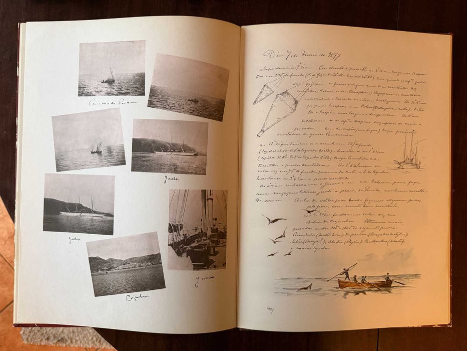 D. Carlos de Bragança — Diário Náutico do Yacht “Amélia”