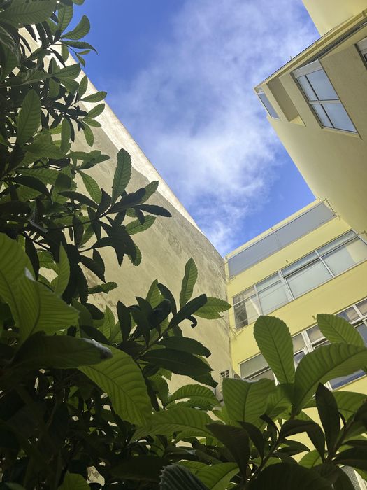 Apartamento com terraco