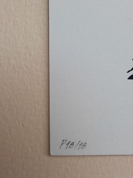 Original Screen Print64861925968899122