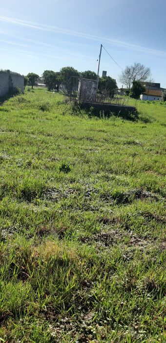 Terreno Urbano 16,000m2