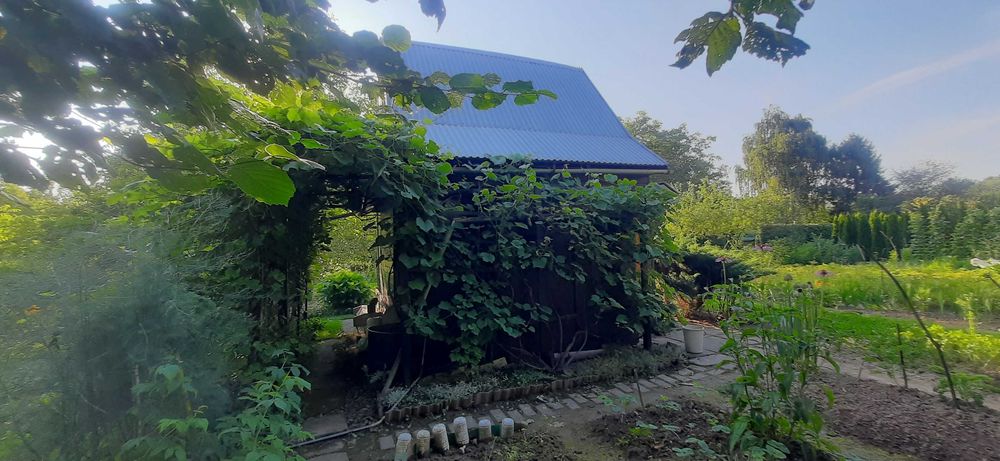 Sprzedam działkę na Ogródkach Działkowych Hutnik ul. 17 Stycznia Jasło