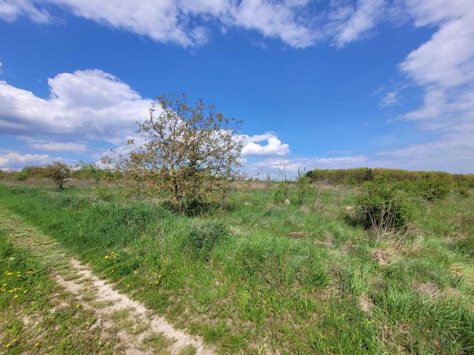 Земельна ділянка під будівництво в Колодіїівці.