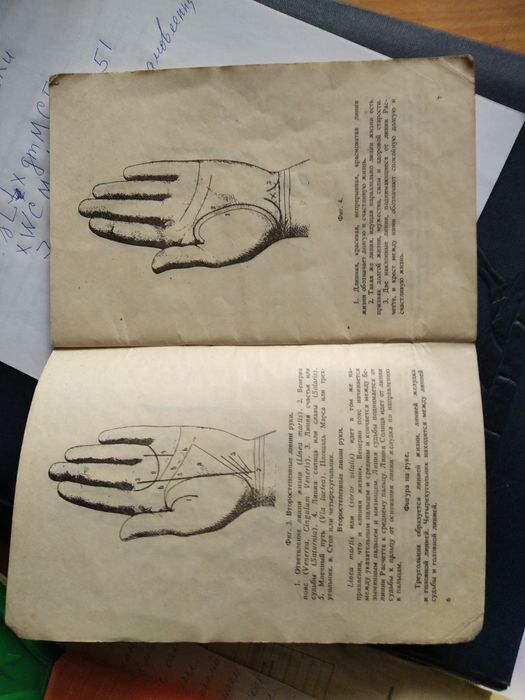 Атлас линий на ладонной поаерхности руки и их значение,1990/1904