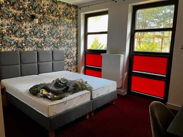 Dezynfekcja, dezynsekcja, deratyzacja, ozonowanie, pranie - Warszawa