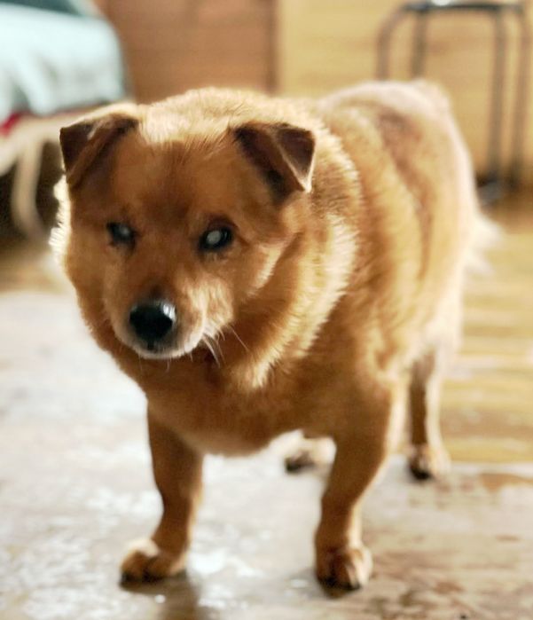 Przekochany Zenuś czeka na cud ...