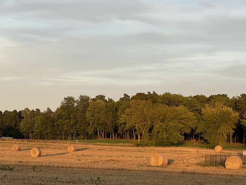 Dzialka budowlana  pod Wawa.