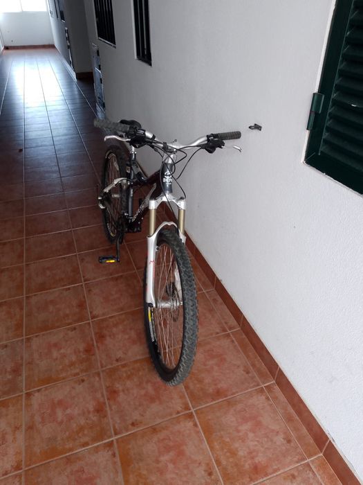 Bicicleta 900 BERG pro