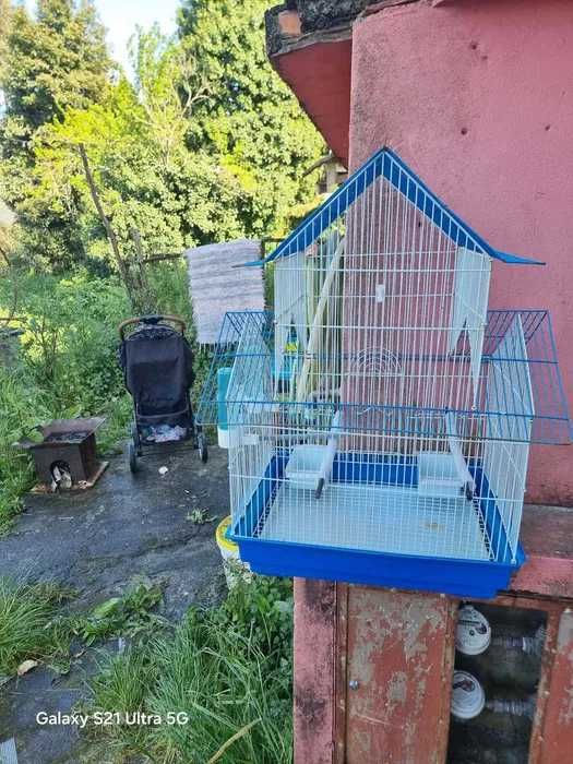 gaiola em bom estado..