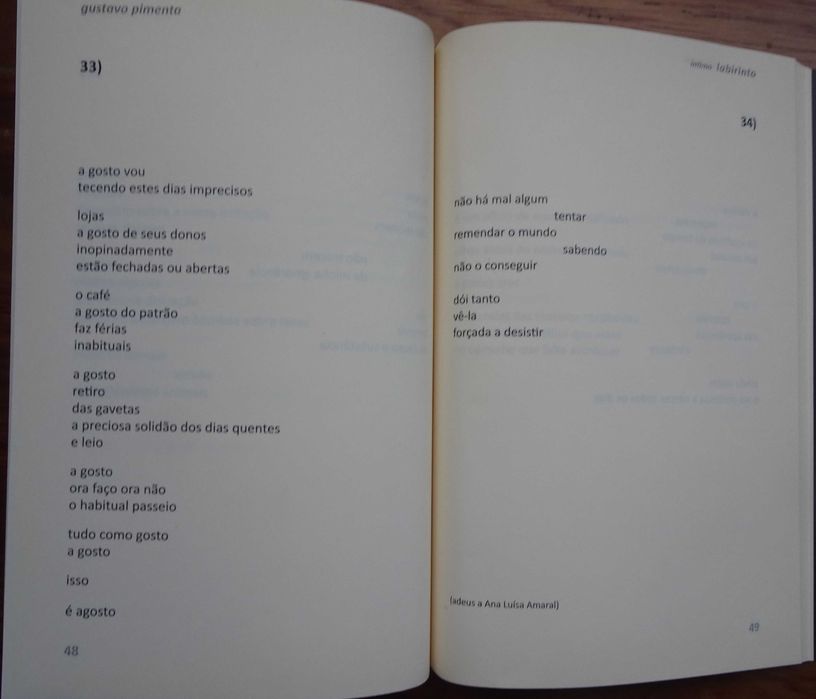 Íntimo Labirinto de Gustavo Pimenta